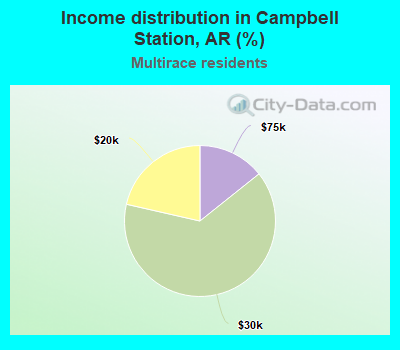 Income distribution in Campbell Station, AR (%)