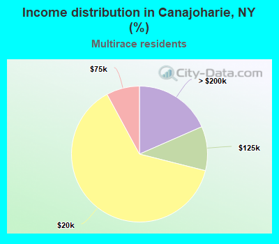 Income distribution in Canajoharie, NY (%)