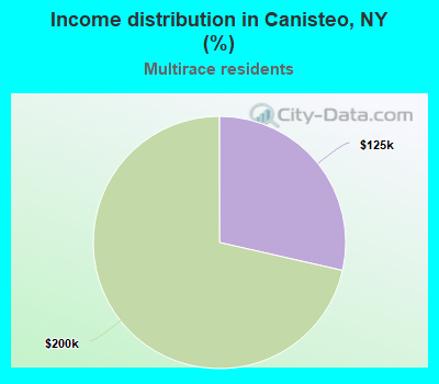 Income distribution in Canisteo, NY (%)