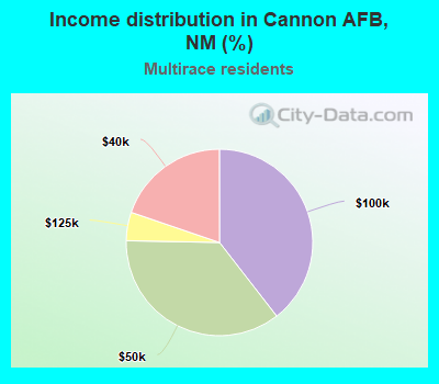 Income distribution in Cannon AFB, NM (%)