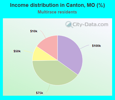 Income distribution in Canton, MO (%)