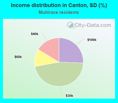 Income distribution in Canton, SD (%)