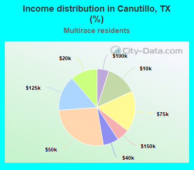 Income distribution in Canutillo, TX (%)