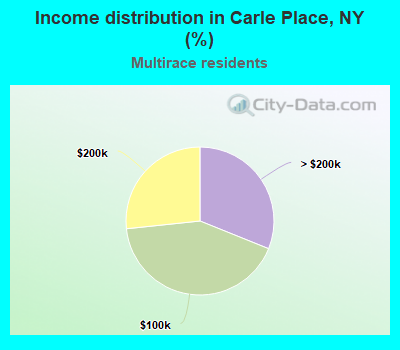 Income distribution in Carle Place, NY (%)