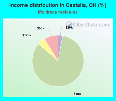 Income distribution in Castalia, OH (%)