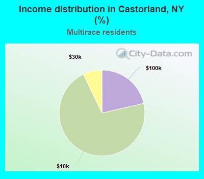 Income distribution in Castorland, NY (%)
