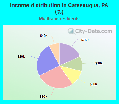 Income distribution in Catasauqua, PA (%)