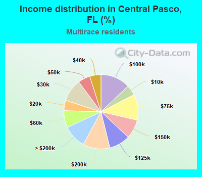 Income distribution in Central Pasco, FL (%)