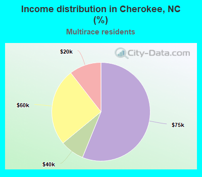 Income distribution in Cherokee, NC (%)