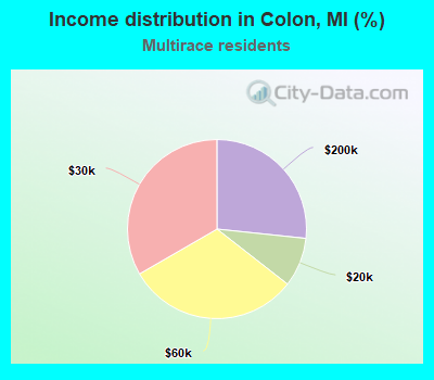 Income distribution in Colon, MI (%)