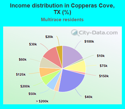 Income distribution in Copperas Cove, TX (%)