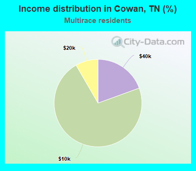 Income distribution in Cowan, TN (%)