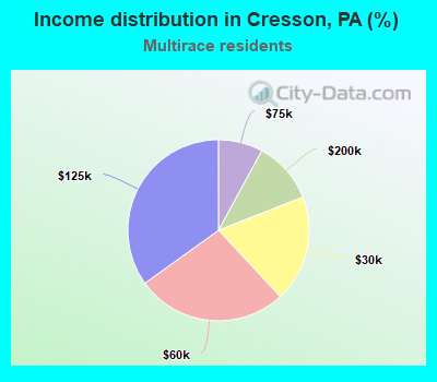 Income distribution in Cresson, PA (%)