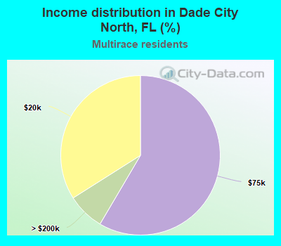 Income distribution in Dade City North, FL (%)