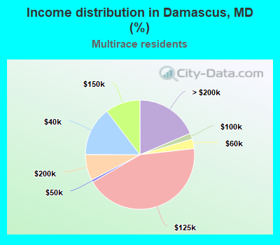 Income distribution in Damascus, MD (%)