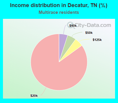 Income distribution in Decatur, TN (%)