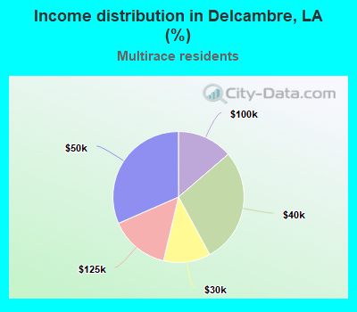 Income distribution in Delcambre, LA (%)