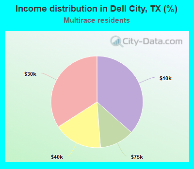 Income distribution in Dell City, TX (%)