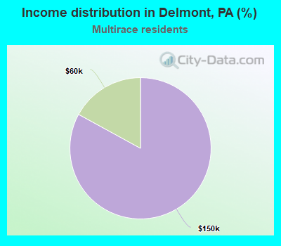 Income distribution in Delmont, PA (%)