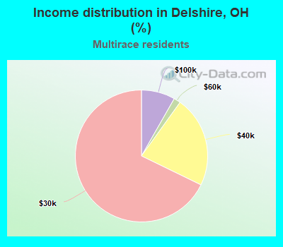 Income distribution in Delshire, OH (%)