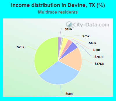 Income distribution in Devine, TX (%)