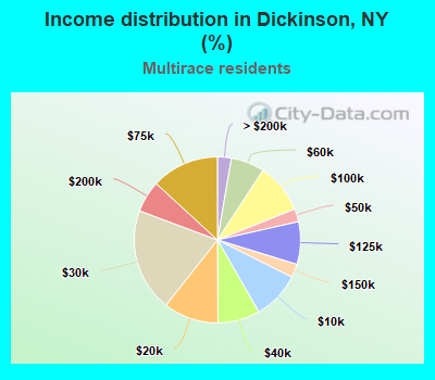 Income distribution in Dickinson, NY (%)