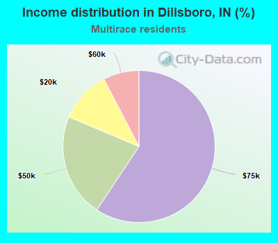 Income distribution in Dillsboro, IN (%)