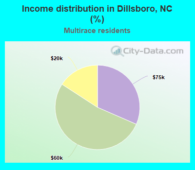 Income distribution in Dillsboro, NC (%)