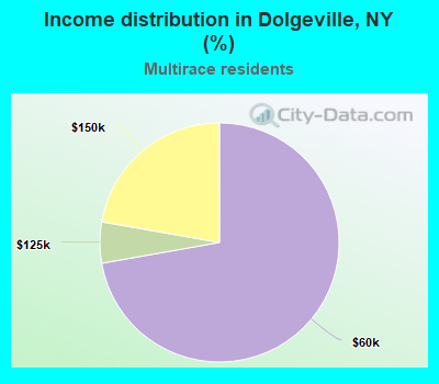 Income distribution in Dolgeville, NY (%)