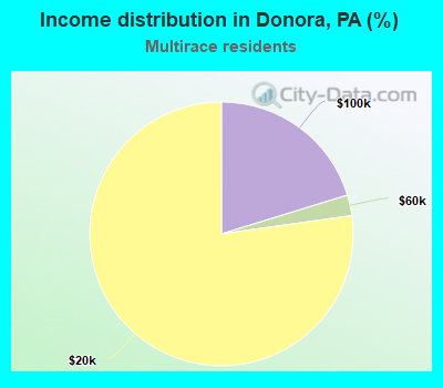 Income distribution in Donora, PA (%)