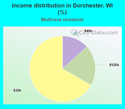 Income distribution in Dorchester, WI (%)