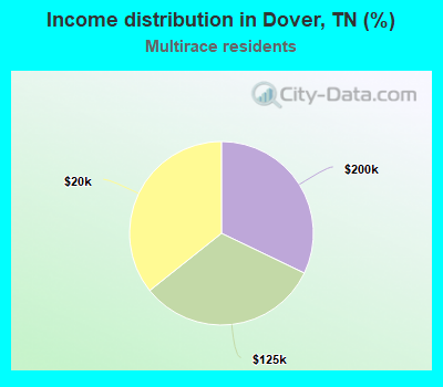 Income distribution in Dover, TN (%)