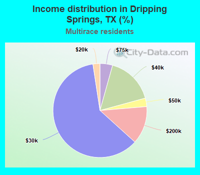 Income distribution in Dripping Springs, TX (%)