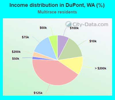 Income distribution in DuPont, WA (%)