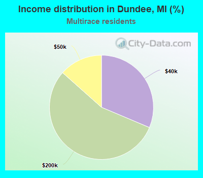 Income distribution in Dundee, MI (%)