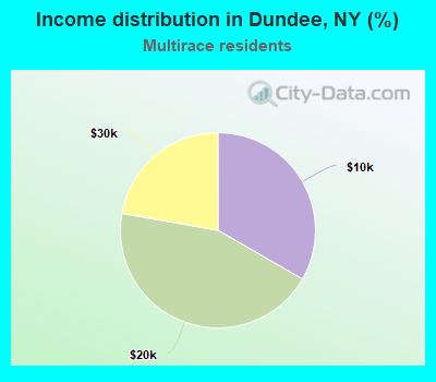 Income distribution in Dundee, NY (%)