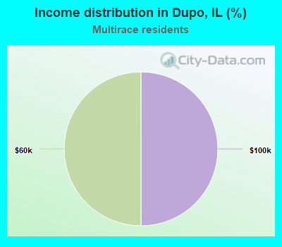 Income distribution in Dupo, IL (%)