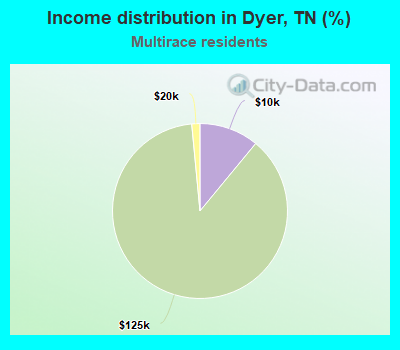 Income distribution in Dyer, TN (%)