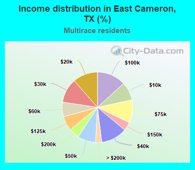 Income distribution in East Cameron, TX (%)