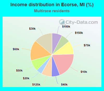 Income distribution in Ecorse, MI (%)