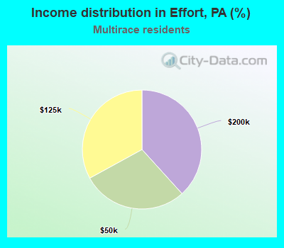 Income distribution in Effort, PA (%)