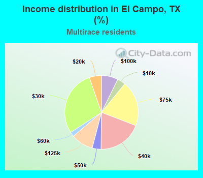 Income distribution in El Campo, TX (%)