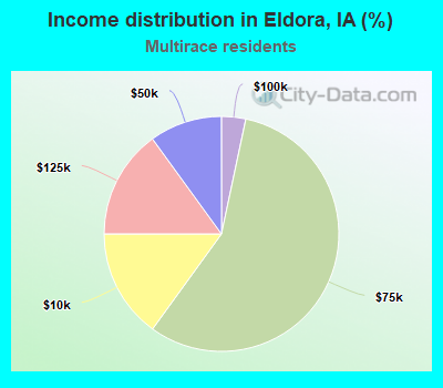 Income distribution in Eldora, IA (%)