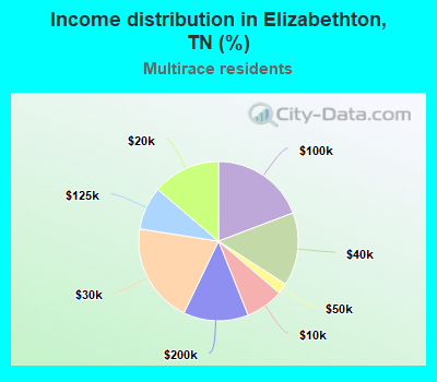 Income distribution in Elizabethton, TN (%)