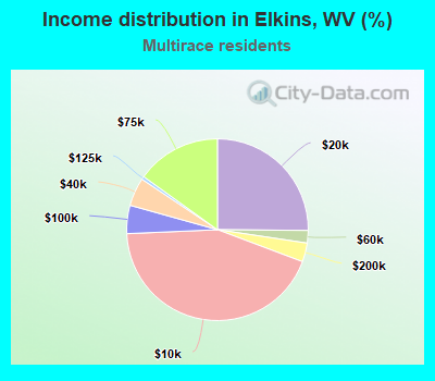 Income distribution in Elkins, WV (%)