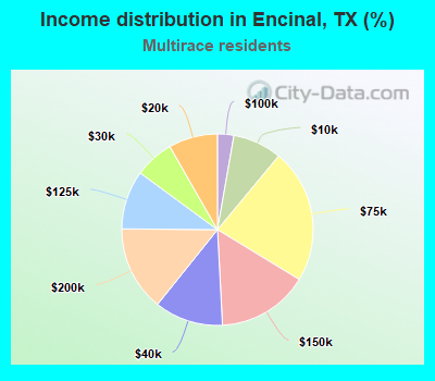 Income distribution in Encinal, TX (%)