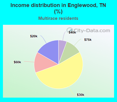 Income distribution in Englewood, TN (%)