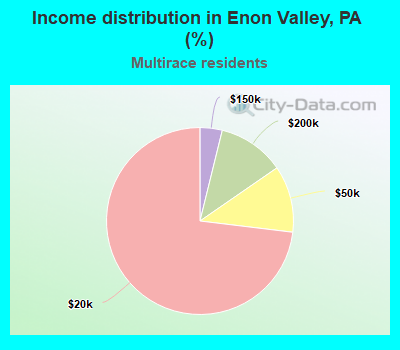 Income distribution in Enon Valley, PA (%)