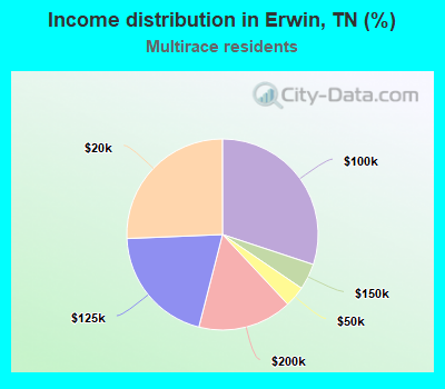 Income distribution in Erwin, TN (%)