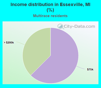 Income distribution in Essexville, MI (%)